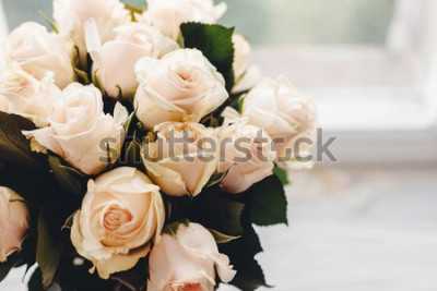 Papier peint  Roses blanches bouquet