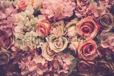 Papier peint  Roses colorés et hortensias