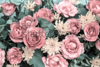 Papier peint  Roses couleur rose style vintage