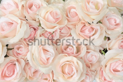 Papier peint  Roses en fleurs