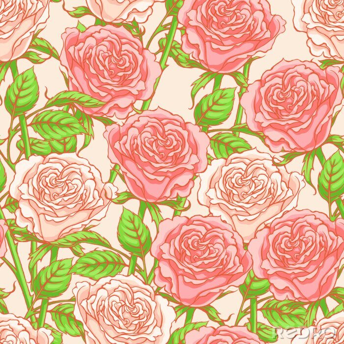 Papier peint  Roses roses classiques sur des graphismes r?tro