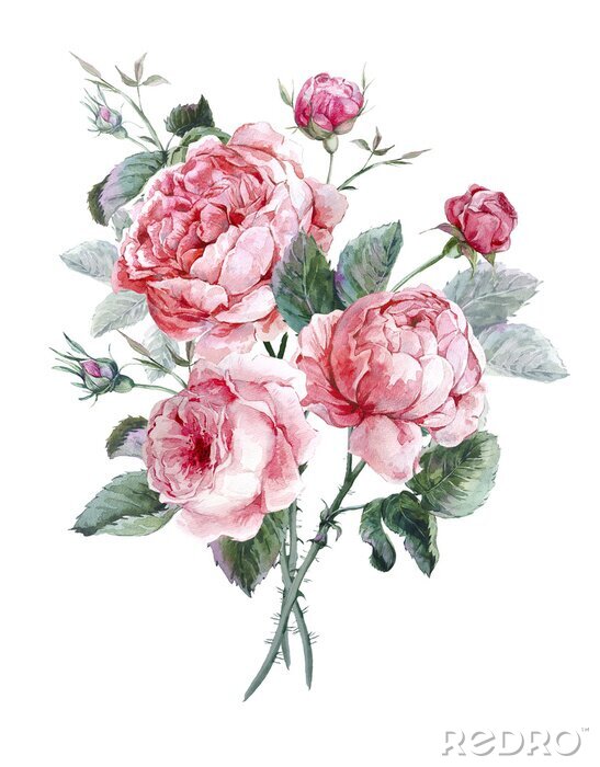 Papier peint  Roses sauvages pastel plus grandes et plus petites