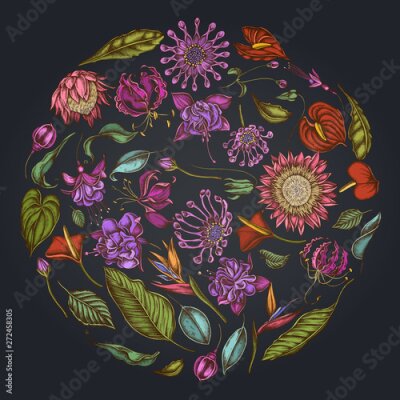 Papier peint  Round floral design on dark background with african daisies, fuchsia, gloriosa, king protea, anthurium, strelitzia