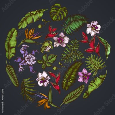 Papier peint  Round floral design on dark background with monstera, banana palm leaves, strelitzia, heliconia, tropical palm leaves, orchid
