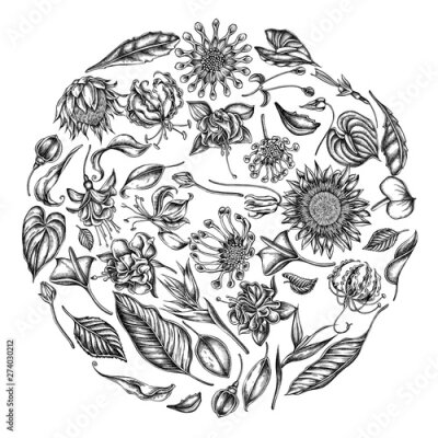 Papier peint  Round floral design with black and white african daisies, fuchsia, gloriosa, king protea, anthurium, strelitzia