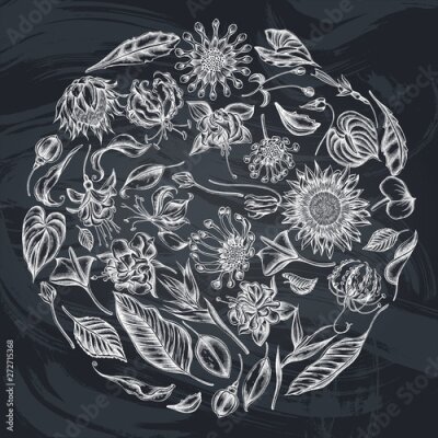 Papier peint  Round floral design with chalk african daisies, fuchsia, gloriosa, king protea, anthurium, strelitzia