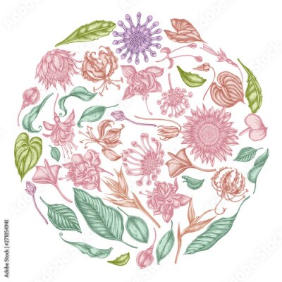 Papier peint  Round floral design with pastel african daisies, fuchsia, gloriosa, king protea, anthurium, strelitzia