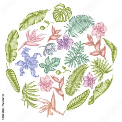 Papier peint  Round floral design with pastel monstera, banana palm leaves, strelitzia, heliconia, tropical palm leaves, orchid
