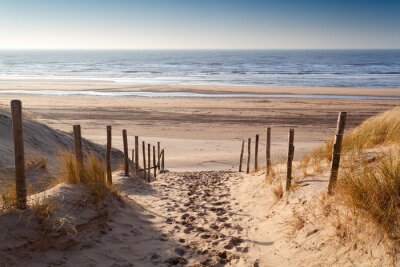 Route de sable vers la mer