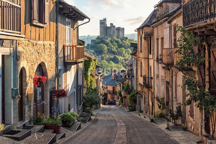 Papier peint  Rue dans un village français avec vue sur un château