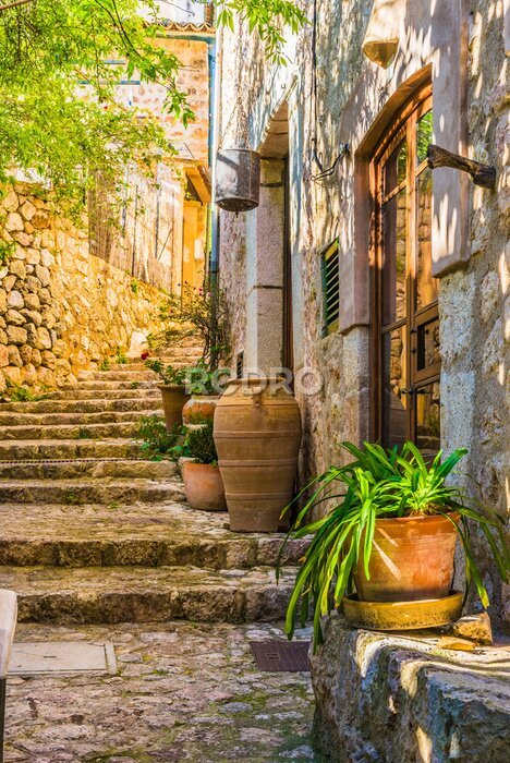 Papier peint  Rue rustique avec des pots de fleurs près des maisons