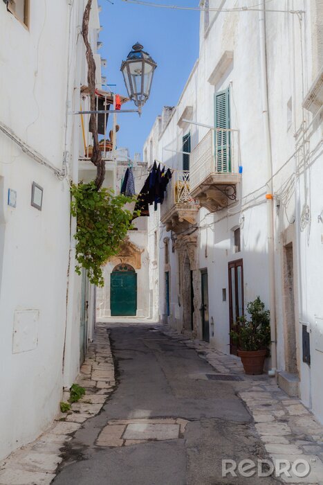 Papier peint  Ruelle blanche et plantes