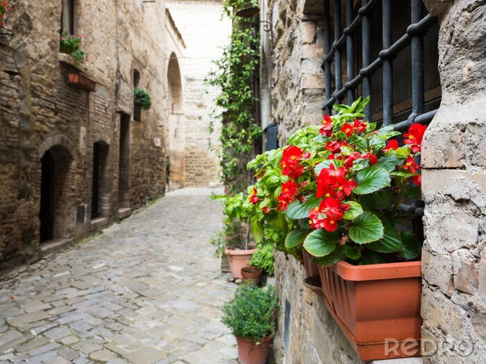 Papier peint  Ruelle en pierre et pots de fleurs