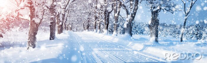 Papier peint  Ruelle enneigée par temps clair