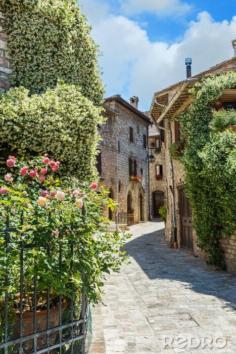 Papier peint  Ruelle ensoleillée au milieu de jardins