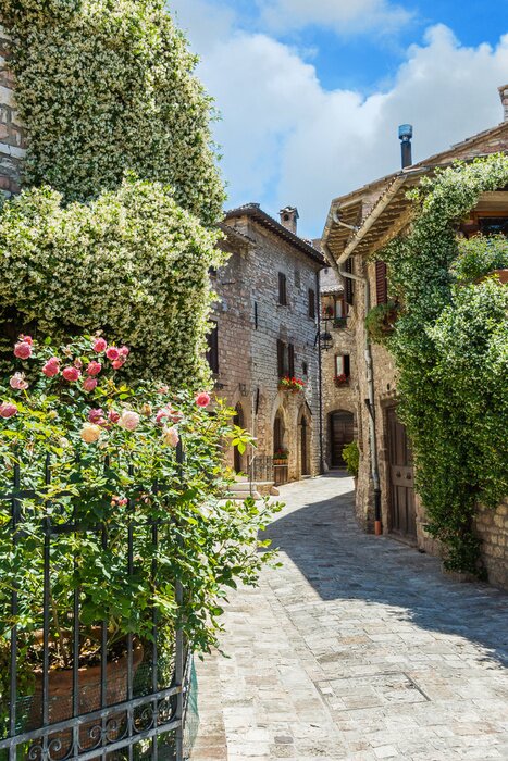 Papier peint  Ruelle ensoleillée au milieu de jardins