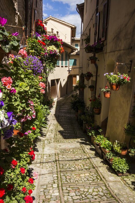 Papier peint  Ruelle escarpée avec des fleurs