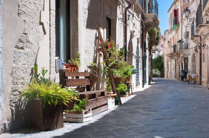 Papier peint  Ruelle et parterres de fleurs en bois