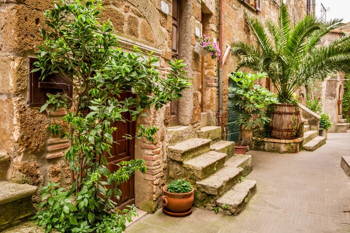 Papier peint  Ruelle et plantes exotiques