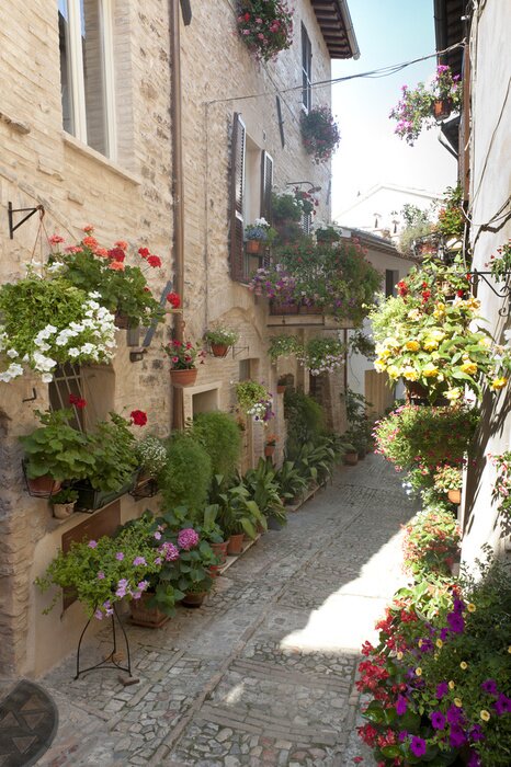 Papier peint  Ruelle étroite végétale