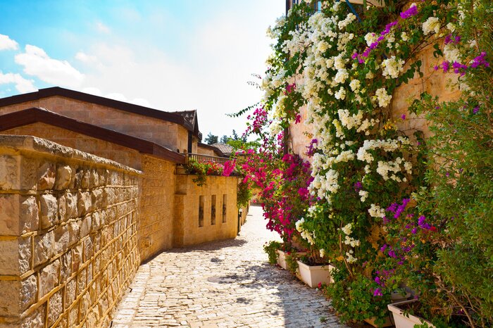 Papier peint  Ruelle fleurie ensoleillée