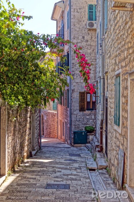 Papier peint  Ruelle fleurie sous le soleil