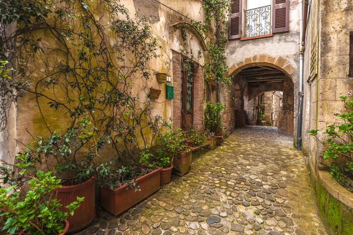 Papier peint  Ruelle italienne et plantes vertes