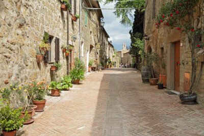 Ruelle large en Toscane avec des plantes