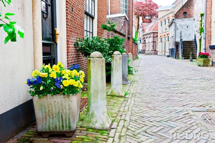 Papier peint  Ruelle magique fleurie colorée