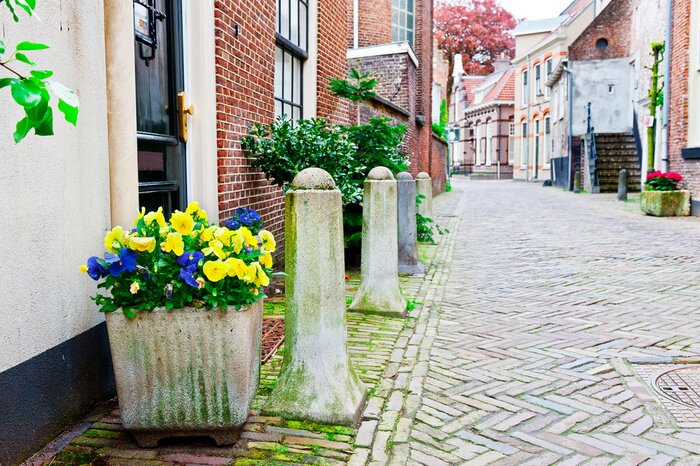 Papier peint  Ruelle magique fleurie colorée