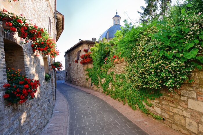 Papier peint  Ruelle paisible avec des fleurs