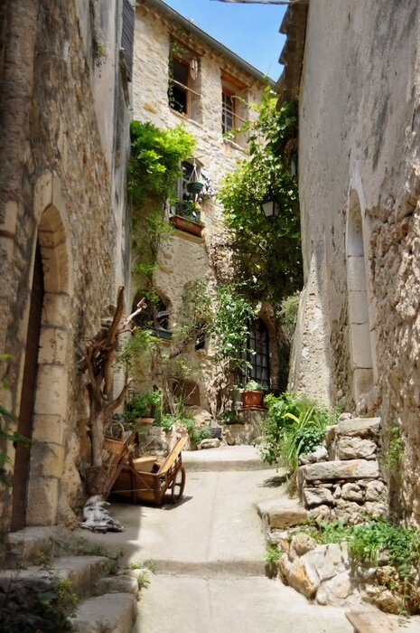 Papier peint  Ruelle paisible et verdure