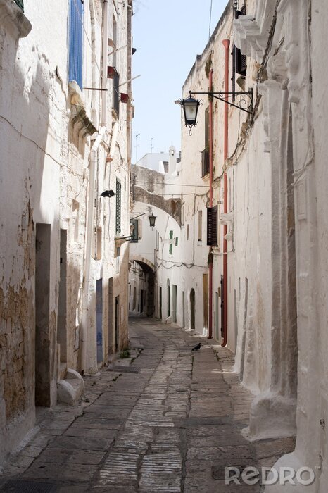 Papier peint  Ruelle tortueuse ombragée
