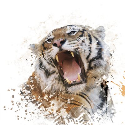 Papier peint  Rugissement du tigre portrait