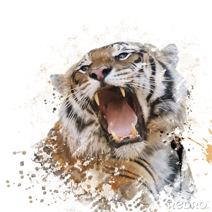 Papier peint  Rugissement du tigre portrait