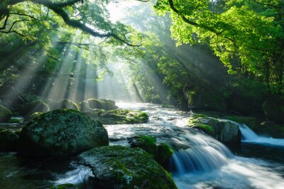 Papier peint  Ruisseau forestier entre les rochers