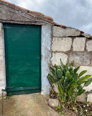 Papier peint  Rural view with green Strelitzia reginae exotic tropical plant on green door and white stone old house background.Tenerife,Canary Islands,Spain. Selective focus.        