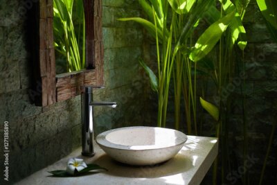 Papier peint  Rustic mirror, and lush tropical strelitzia reginae plants in natural sunlight. Jungle village interior design. Outdoor Bali bathroom with a stone sink, 