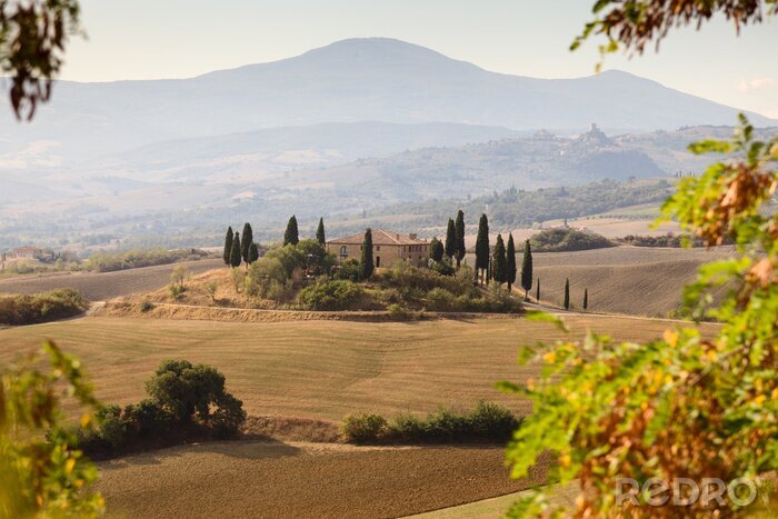 Papier peint  S.Quirico