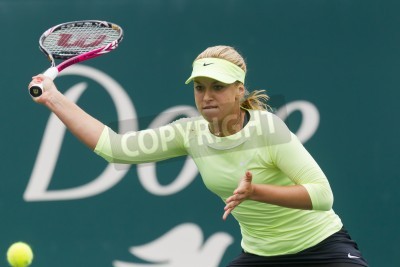 Papier peint  Sabine Lisicki poendant le match