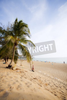 Papier peint  Sable de la plage et nature