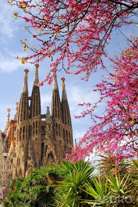 Papier peint  Sagrada Familia Barcelone Espagne