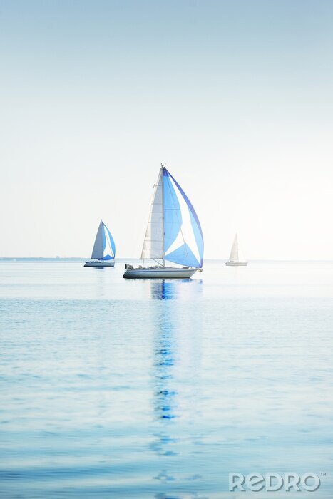 Papier peint  Sailing yacht regatta. Modern sailboats racing with blue spinnaker sails. Clear summer day. Kiel, Germany. Sport and recreation, transportation, private wessel, vacations