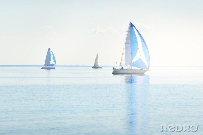 Papier peint  Sailing yacht regatta. Modern sailboats racing with blue spinnaker sails. Clear summer day. Kiel, Germany. Sport and recreation, transportation, private wessel, vacations