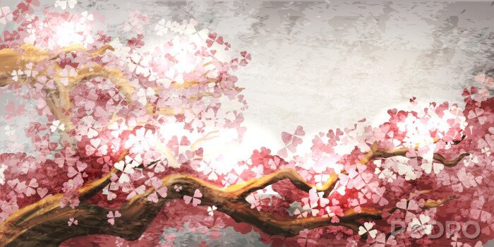 Papier peint  Sakura branche floraison