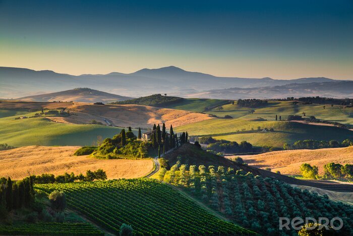 Papier peint  Scenic paysage de Toscane, au lever du soleil, Val d'Orcia, Italie