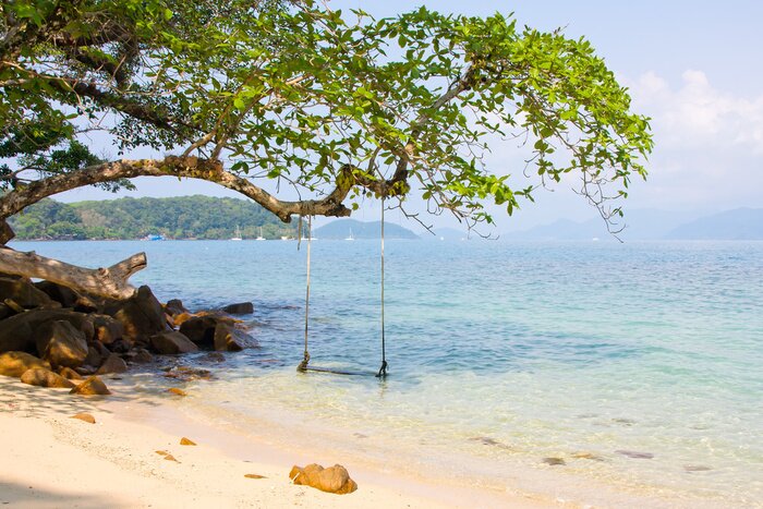 Papier peint  Se balancer sur la plage au bord de la mer