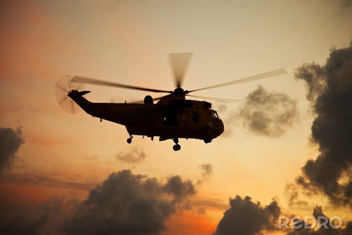 Papier peint  Seaking