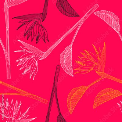 Papier peint  Seamless background of Strelitzia.  Realistic, hand-drawn illustration. Can be used for gift paper, postcards, invitations, advertising, web design.