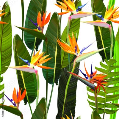 Papier peint  Seamless background with Strelitzia Reginae orange tropical flower. Vector illustration, EPS 10